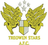 Treowen Stars - Logo
