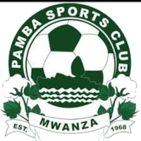 Pamba Jiji - Logo