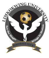 Limkokwing University - Logo