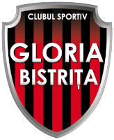 Gloria Bistrița-Năsăud W - Logo