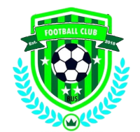 Buhimba United Saints - Logo