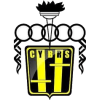 Santamarina Tandil - Logo