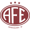 Ferroviária SP - Logo