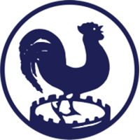 HV&CV Quick - Logo