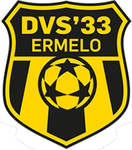 DVS 33 - Logo